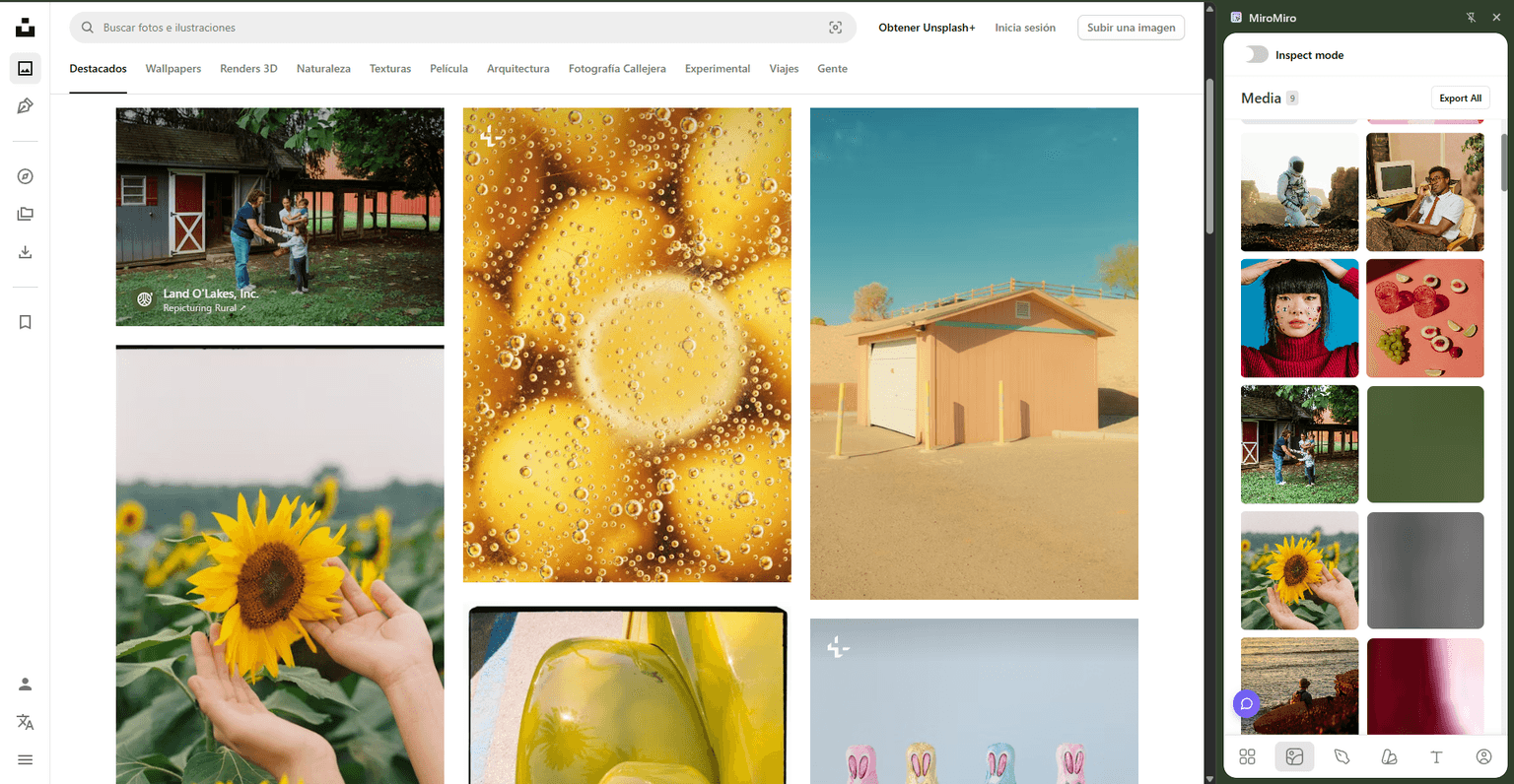 How to Download Images from Any Website (2026 Guide)
